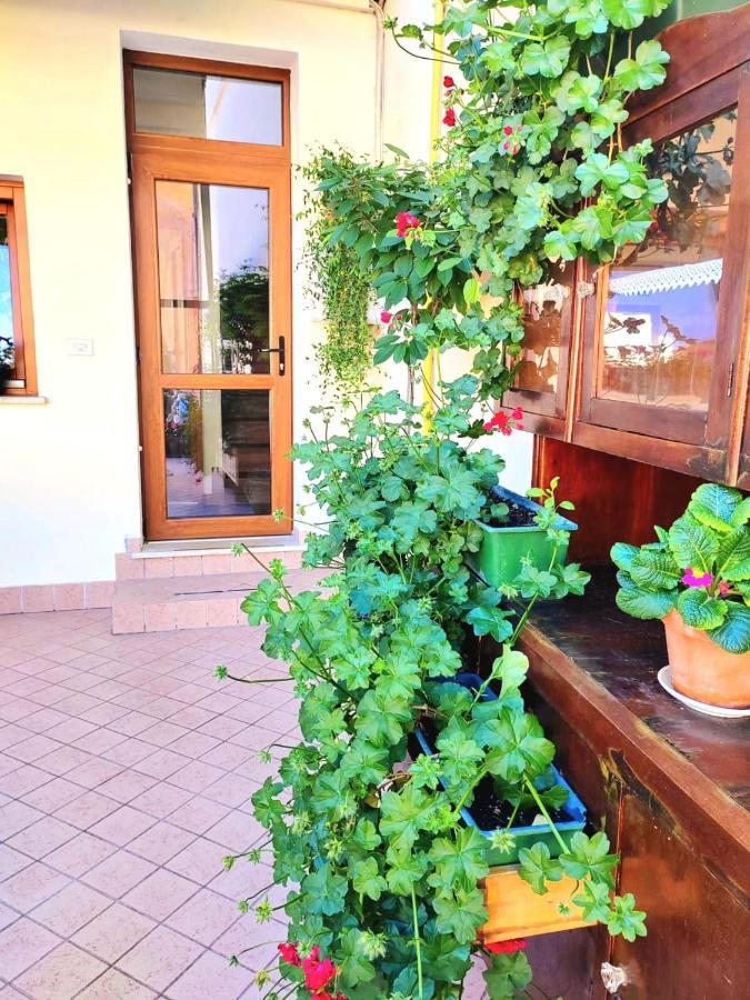 Hotel Luisa Brenzone sul Garda Zewnętrze zdjęcie